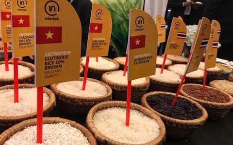 Conditions favorables pour les exportations de riz du Vietnam