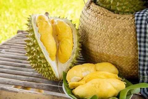 246 indicatifs régionaux de culture du durian approuvés pour l'exportation vers la Chine