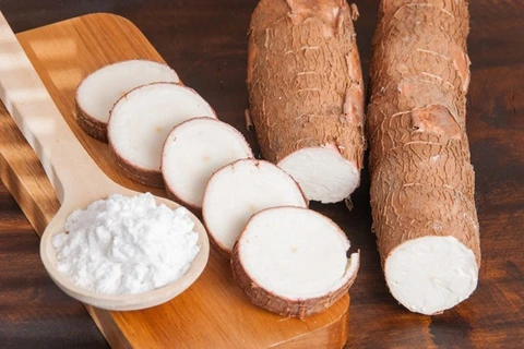 Le Vietnam est le troisième exportateur mondial de manioc