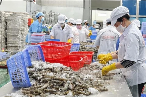 De gros efforts nécessaires pour exporter 4,3 milliards de dollars de crevettes