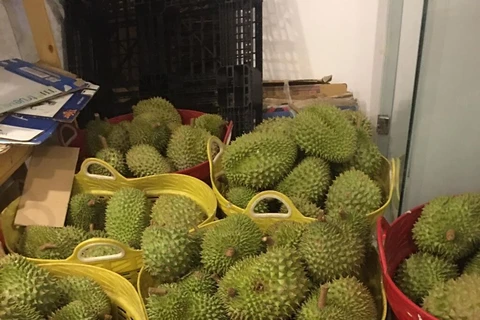 Le durian plus que jamais recherché par le marché chinois 