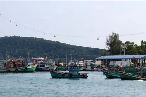 Pêche INN : Une lourde amende contre un pêcheur à Kien Giang