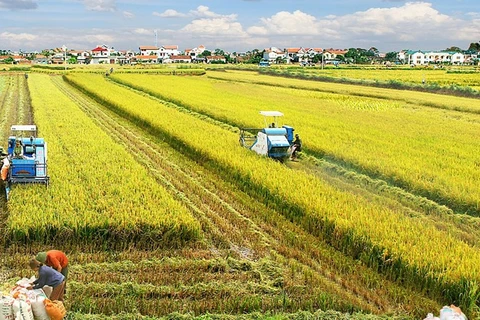 Développement de l’économie agricole dans la nouvelle période