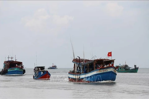 Ninh Thuân prend des mesures drastiques pour lutter contre la pêche INN