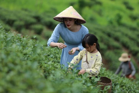 Le tourisme rural possède de nombreux potentiels