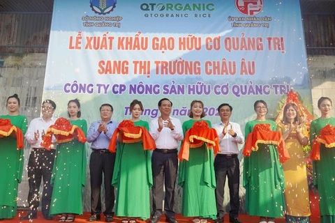 Le premier lot de riz bio Quang Tri prend le chemin de l’Europe