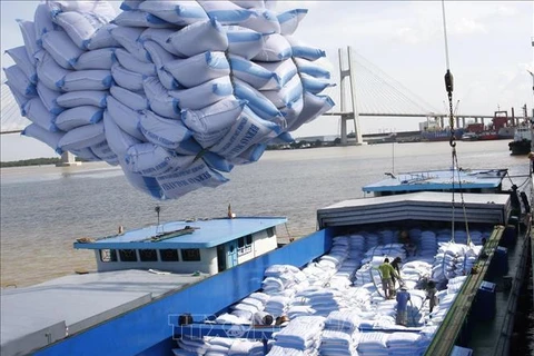 Les Philippines, premier importateur de riz vietnamien au premier trimestre de l'année