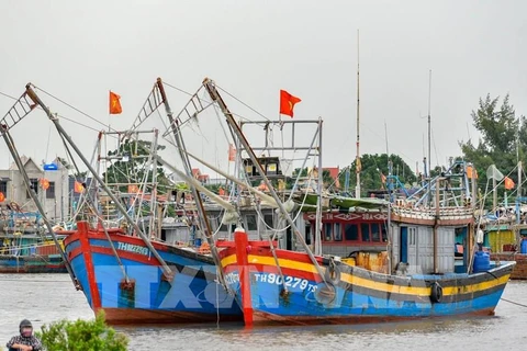 La province de Thanh Hoa lutte résolument contre la pêche INN 
