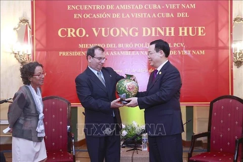 Le président de l’AN Vuong Dinh Hue affirme les relations durables Vietnam-Cuba