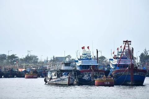 Dà Nang et Quang Binh montrent leur volonté contre la pêche INN