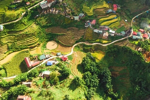 Trekking à Sapa, des rizières en terrasses aux sommets