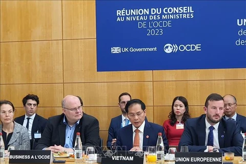 Le ministre des AE souligne la détermination du Vietnam pour la transition verte