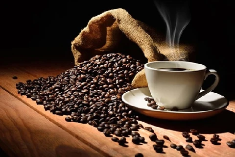 Les exportations de café du Vietnam espèrent rapporter plus de 4 milliards d’USD cette année