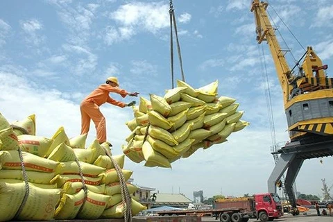  Le Vietnam demeure le plus grand fournisseur de riz aux Philippines 