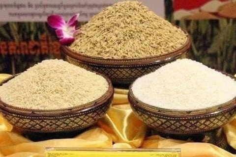 Cambodge : les exportations de riz décortiqué rapportent près de 230 millions de dollars