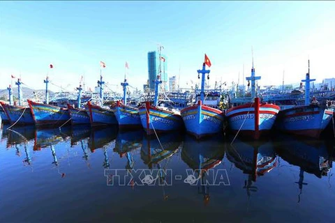 Binh Dinh prend des mesures drastiques pour lutter contre la pêche INN