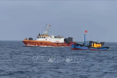 Quang Ngai redouble d’efforts pour lutter contre la pêche INN