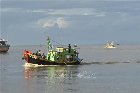 Lutte contre la pêche INN: Binh Thuan se prépare bien à l’inspection de la CE