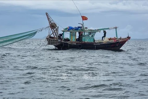 Quang Ninh confisquera les véhicules et produits de pêche illégaux à partir du 1er septembre