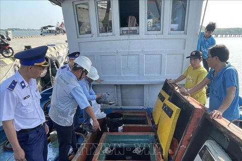 Ba Ria-Vung Tau : Traitement des violations des réglementations sur le système de surveillance des navires de pêche