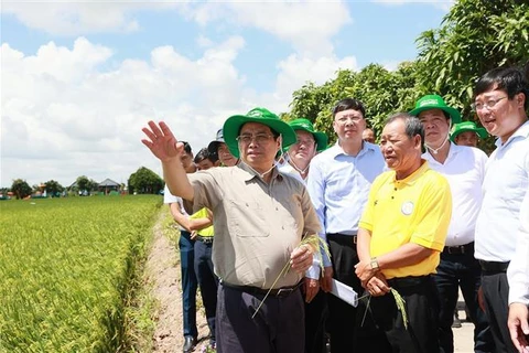 Tournée de travail du Premier ministre Pham Minh Chinh à Dong Thap