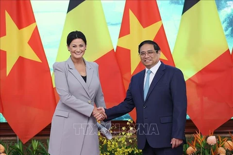Entrevue entre le Premier ministre Pham Minh Chinh et la présidente du Sénat de Belgique