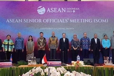 Les pays prêts pour le 43e Sommet de l'ASEAN et les réunions connexes