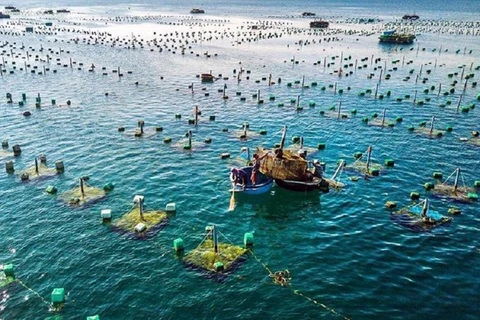 L’aquaculture vietnamienne occupe la première place sur la carte du monde