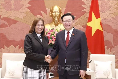 L’amitié spéciale Vietnam-Cuba, un modèle de relations internationales