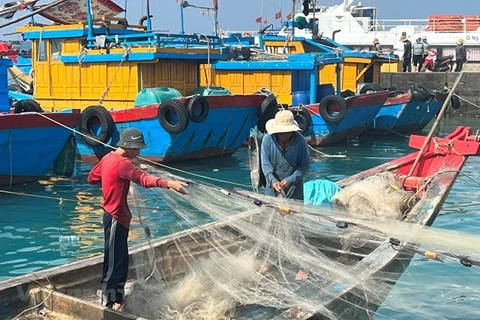 La province de Tien Giang redouble des efforts contre la pêche INN