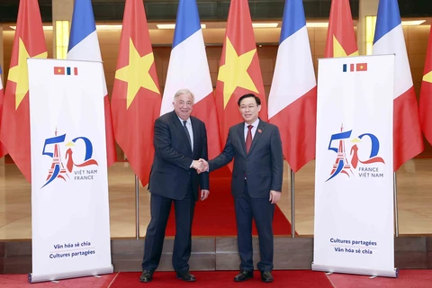 Un responsable français affirme les perspectives du partenariat stratégique Vietnam-France