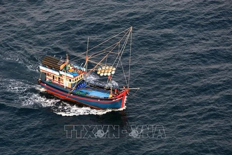 Le Vietnam déploie des efforts continus contre la pêche INN