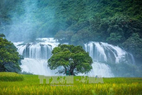 Ouverture du festival des cascades de Ban Giôc 2023