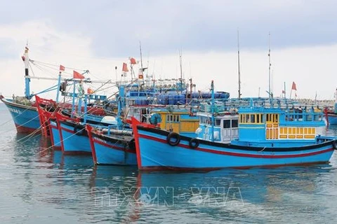 Le Vietnam redouble d'efforts dans la lutte contre le pêche INN