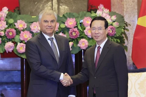 Le président Vo Van Thuong reçoit le président de la Douma d'État de la Fédération de Russie