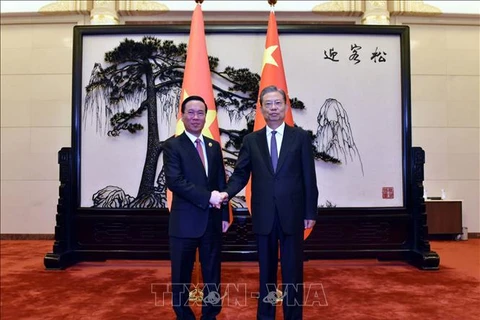 Le président vietnamien a une entrevue avec le président de l'APN de Chine