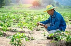 Le secteur agroalimentaire malaisien dispose d’un potentiel important