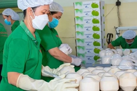 Opportunité pour les exportations de noix de coco vietnamiennes vers les États-Unis et la Chine