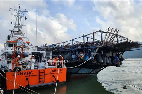 Binh Dinh : sauvetage de 39 pêcheurs d'un bateau en détresse en mer