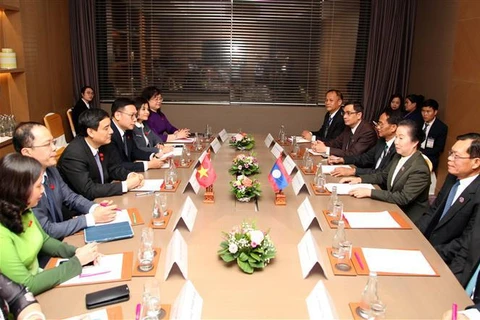 Vietnam-Laos : renforcement de la coopération entre des Commissions des Assemblées nationales 