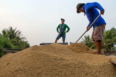 Festival international du riz Vietnamien 2023 