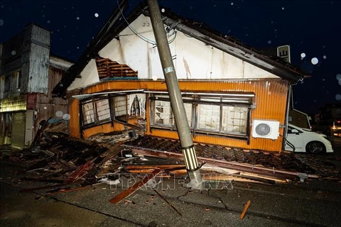 Tremblement de terre au Japon : les Vietnamiens du Japon restent unis