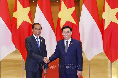  Le président de l’AN Vuong Dinh Hue rencontre le président indonésien Joko Widodo