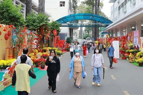 Des "rues aux fleurs" qui apportent du réconfort aux patients hospitalisés pendant le Têt