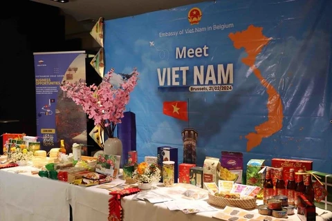 Le Vietnam et la Belgique promeuvent la coopération dans des domaines