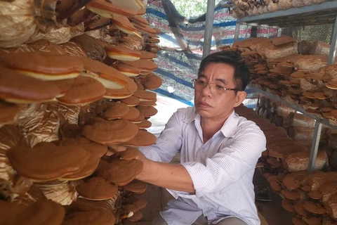 La province de Binh Duong creuse le filon de l’agriculture intelligente
