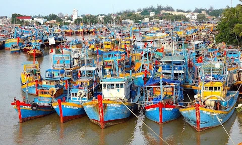 Kien Giang et Ha Tinh déterminées à lutter contre la pêche INN