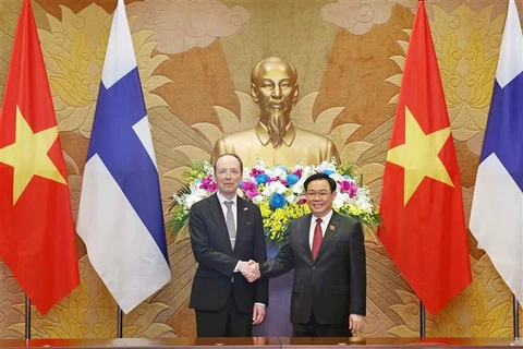 Le président de l'AN du Vietnam Vuong Dinh Huê s'entretient avec son homolgue finlandais