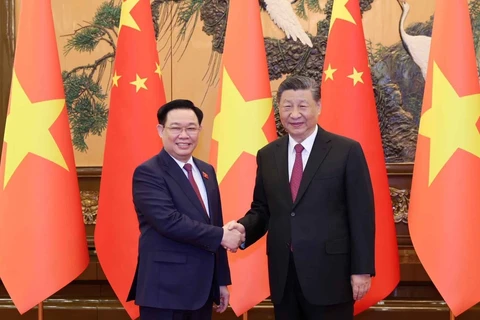 Le président de l’ANV Vuong Dinh Huê rencontre le secrétaire général et président chinois Xi Jinping