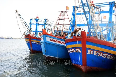 Pêche INN : Le nombre de bateaux contrevenants chute à Bà Ria-Vung Tàu